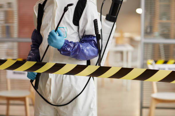 Professional Trauma Scene Cleanup technician working in Brookline, MA